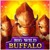 Big Wild Buffalo Logo